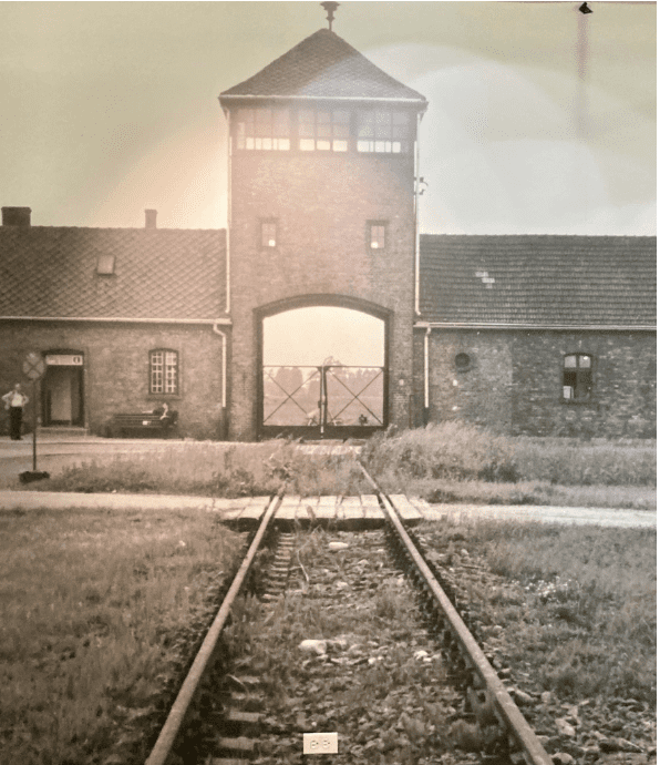 Classic photo of train tracks leadig up to Auschwitz